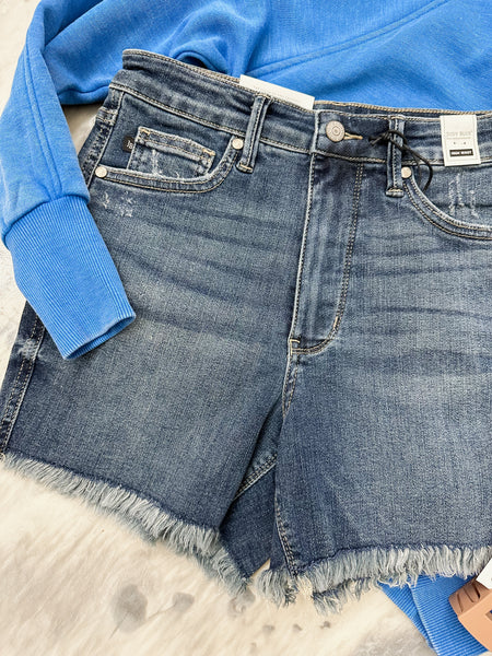 Judy Blue MR Denim Fray Shorts