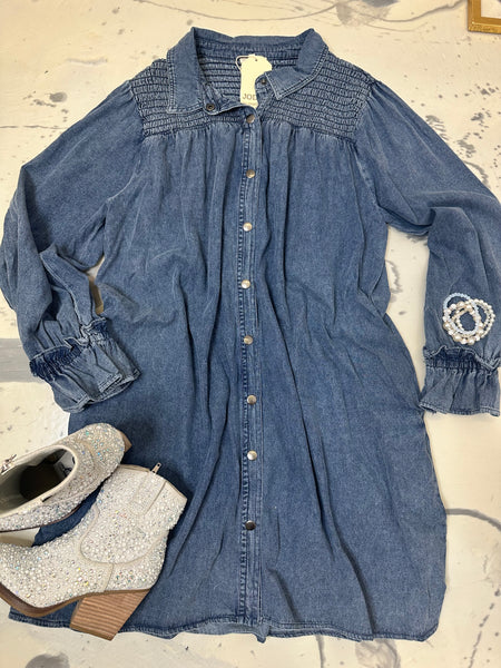 Fall Denim Dress