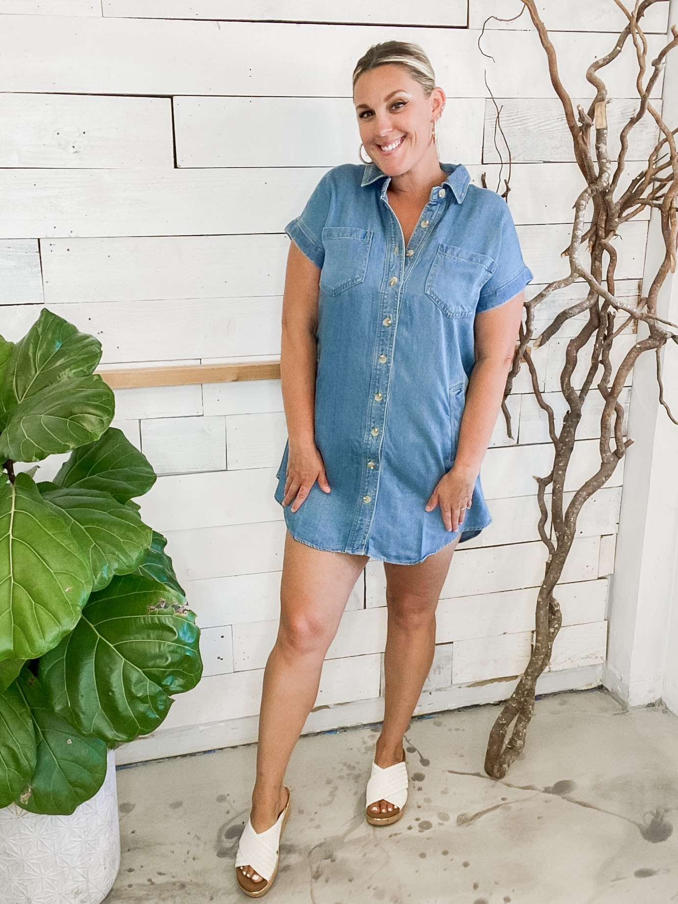 Collared Chambray Dress