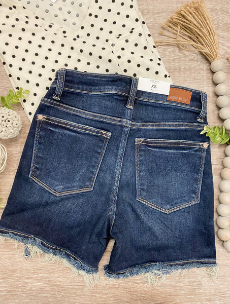 Judy Blue High Waist Destroy Shorts