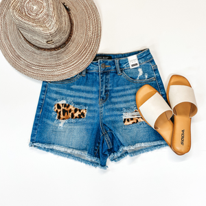 Judy Blue Leo Shorts