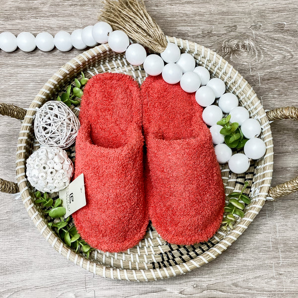 Slipper Steal